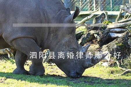 泗阳县离婚律师哪个好 泗阳县离婚律师哪个好