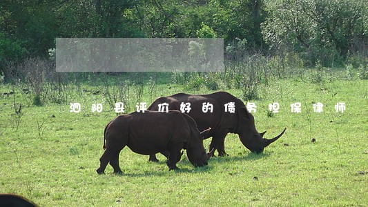 泗阳县评价好的债务担保律师 泗阳县评价好的债务担保律师