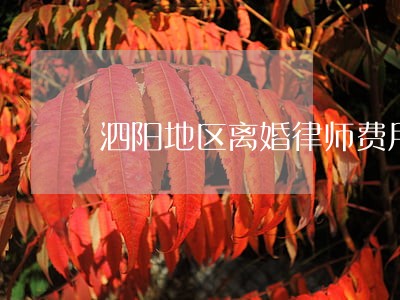泗阳地区离婚律师费用标准 泗阳地区离婚律师费用标准