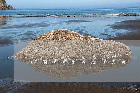 泗阳律师免费法律咨询 泗阳律师免费法律咨询