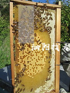 泗阳找专业起诉离婚律师预约电话 泗阳找专业起诉离婚律师预约电话