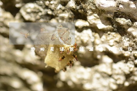 泗阳无证驾驶案律师诉讼代理