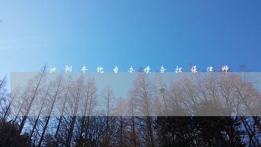 泗阳本地专办债务担保律师 泗阳本地专办债务担保律师