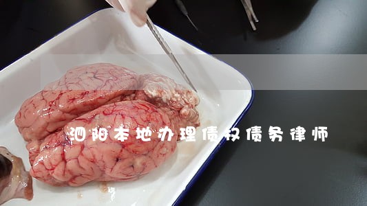 泗阳本地办理债权债务律师 泗阳本地办理债权债务律师