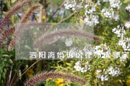 泗阳离婚诉讼律师选哪家 泗阳离婚诉讼律师选哪家