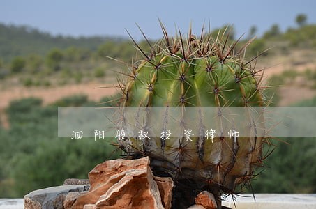 泗阳股权投资律师 泗阳股权投资律师