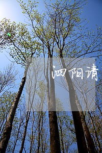 泗阳请有经验的债务律师收费咨询 泗阳请有经验的债务律师收费咨询