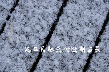 泛亚民融兑付逾期后果 泛亚民融兑付逾期后果