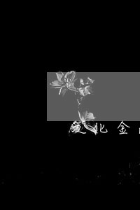 泛化金融借款逾期利息 泛化金融借款逾期利息