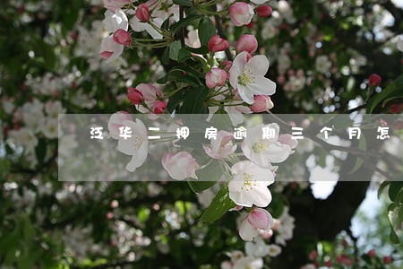 泛华二押房逾期三个月怎么办 泛华二押房逾期三个月怎么办