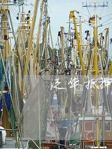 泛华抵押逾期了会怎么样 泛华抵押逾期了会怎么样