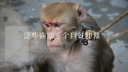 泛华逾期三个月就仲裁 泛华逾期三个月就仲裁