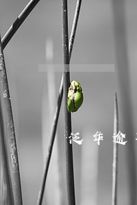 泛华逾期费用很高么 泛华逾期费用很高么