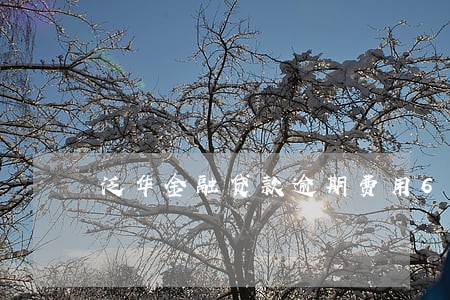 泛华金融贷款逾期费用6 泛华金融贷款逾期费用6