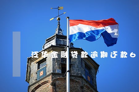 泛华金融贷款逾期还款6 泛华金融贷款逾期还款6