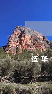 泛华金融逾期6天了