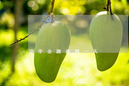 泛华金融逾期一天 泛华金融逾期一天