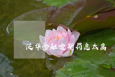 泛华金融逾期罚息太高 泛华金融逾期罚息太高