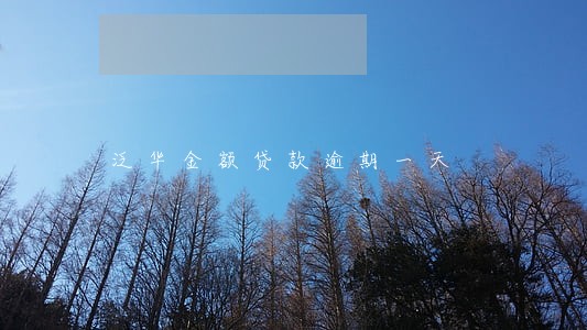 泛华金额贷款逾期一天 泛华金额贷款逾期一天