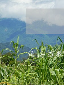 泛海控股债务逾期 泛海控股债务逾期