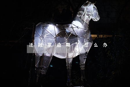 泛融家逾期了怎么办 泛融家逾期了怎么办
