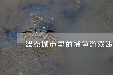 波克城市里的捕鱼游戏违法吗 波克城市里的捕鱼游戏违法吗