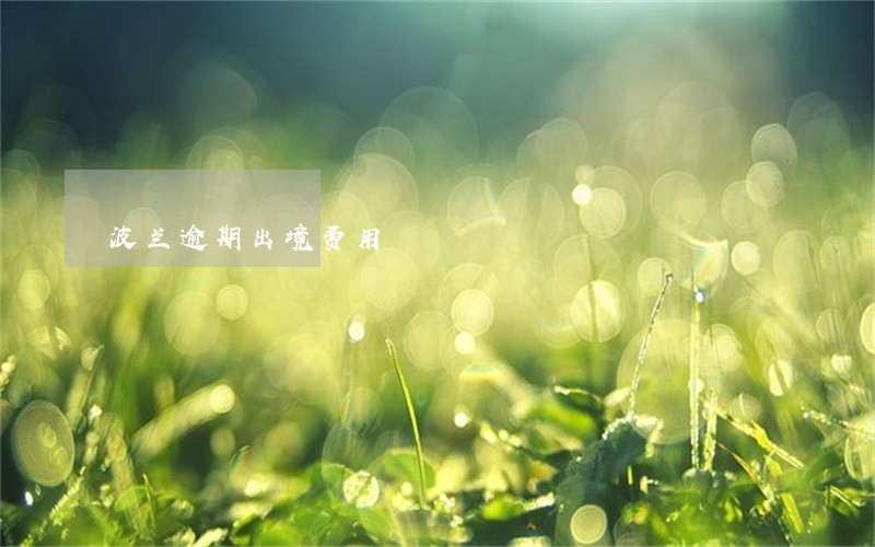 波兰逾期出境费用 波兰逾期出境费用
