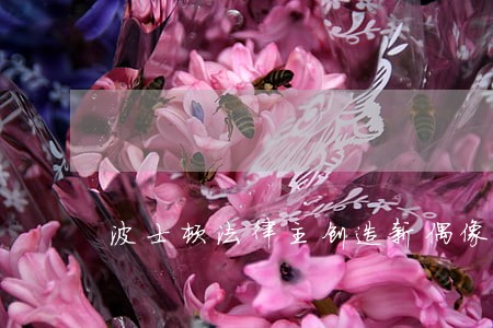 波士顿法律主创造新偶像 波士顿法律主创造新偶像
