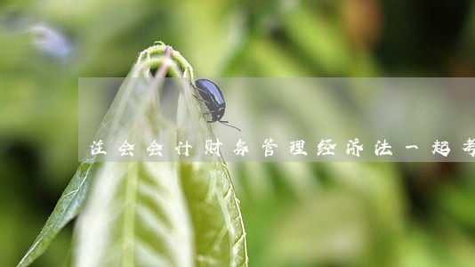 注会会计财务管理经济法一起考 注会会计财务管理经济法一起考
