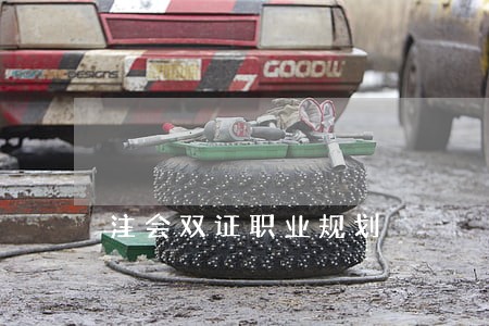 注会双证职业规划