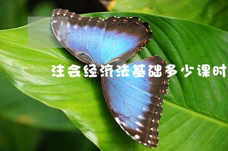 注会经济法基础多少课时 注会经济法基础多少课时