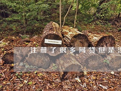注册了很多网贷但是没有逾期 注册了很多网贷但是没有逾期