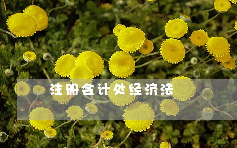 注册会计处经济法 注册会计处经济法