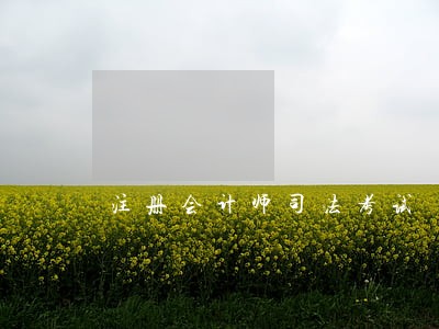 注册会计师司法考试 注册会计师司法考试