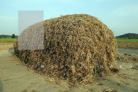 注册会计师应如何避免法律诉讼 注册会计师应如何避免法律诉讼