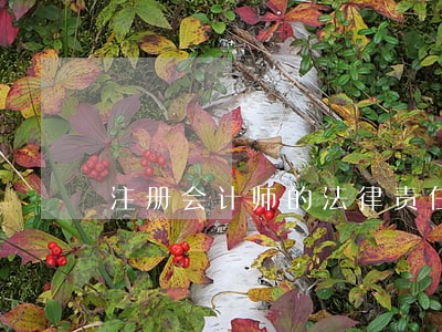 注册会计师的法律责任及免责对策 注册会计师的法律责任及免责对策