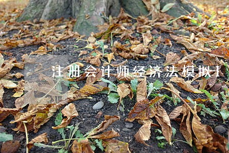 注册会计师经济法模拟125 注册会计师经济法模拟125