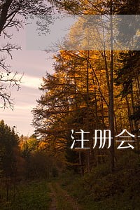 注册会计师经济法的书 注册会计师经济法的书
