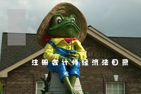 注册会计师经济法目录 注册会计师经济法目录