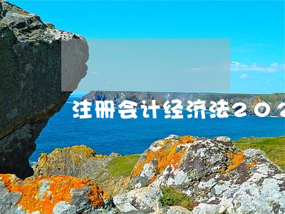 注册会计经济法202 注册会计经济法202