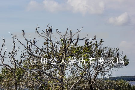 注册公人学历有要求吗
