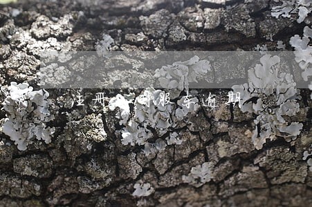 注册公司股东逾期 注册公司股东逾期