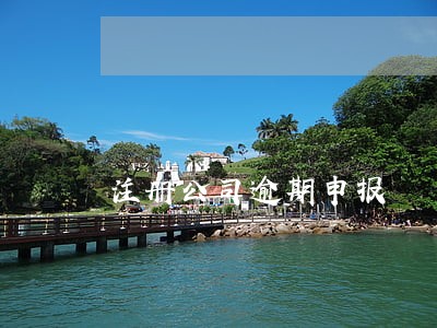 注册公司逾期申报 注册公司逾期申报