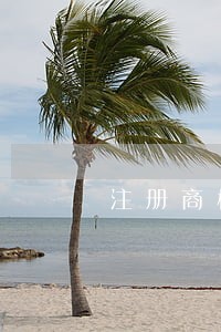 注册商标的费用如何入账