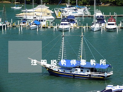注册税务师事务所 注册税务师事务所