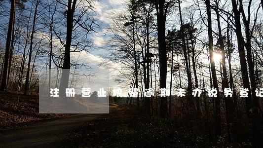 注册营业执照逾期未办税务登记 注册营业执照逾期未办税务登记