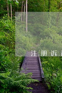 注册诉讼保全担保公司 注册诉讼保全担保公司