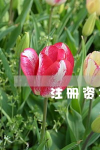 注册资本逾期缴纳 注册资本逾期缴纳
