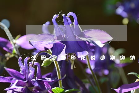 注册资金印花税逾期缴纳 注册资金印花税逾期缴纳