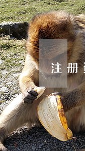 注册资金逾期交了还要罚款吗 注册资金逾期交了还要罚款吗